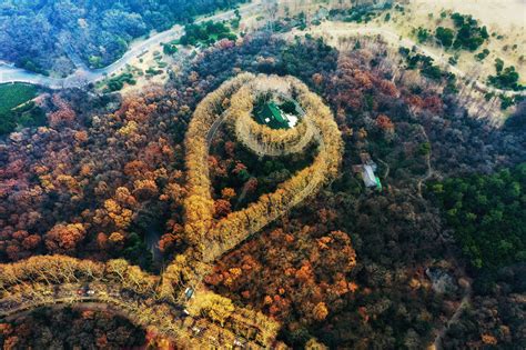 南京紫金山|紫金山 (南京市)